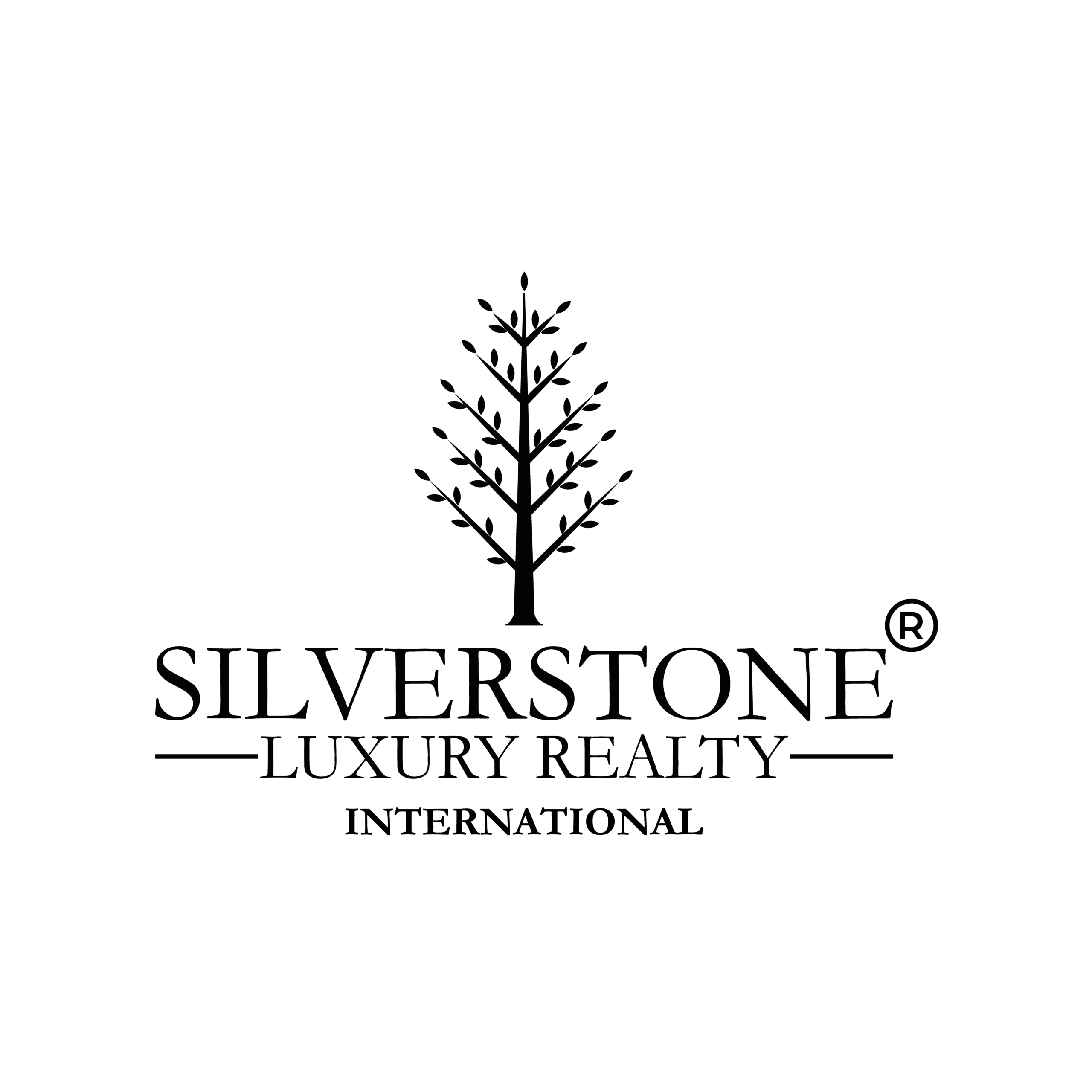 Silverstone LR