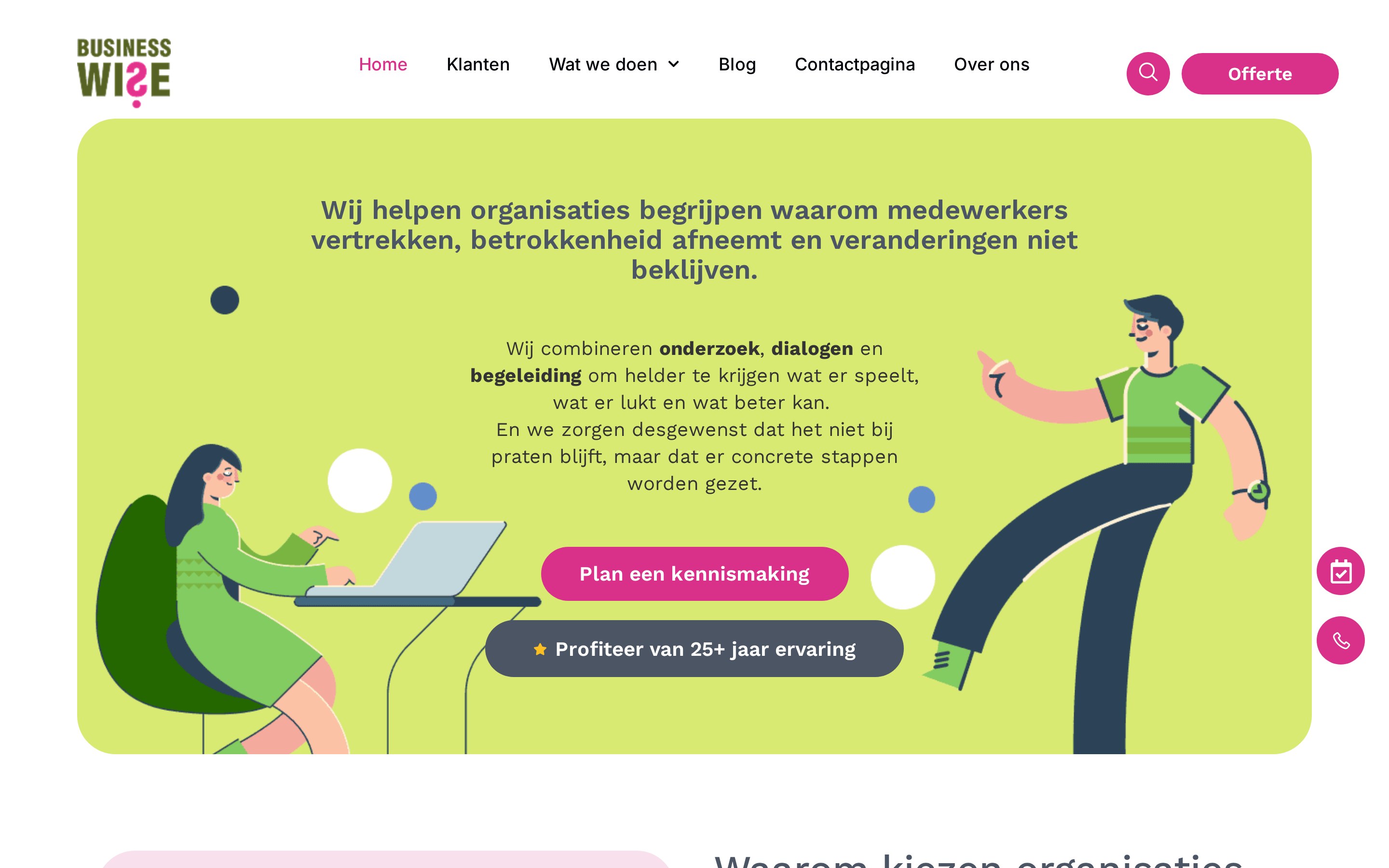 Website Business Wise — desktop