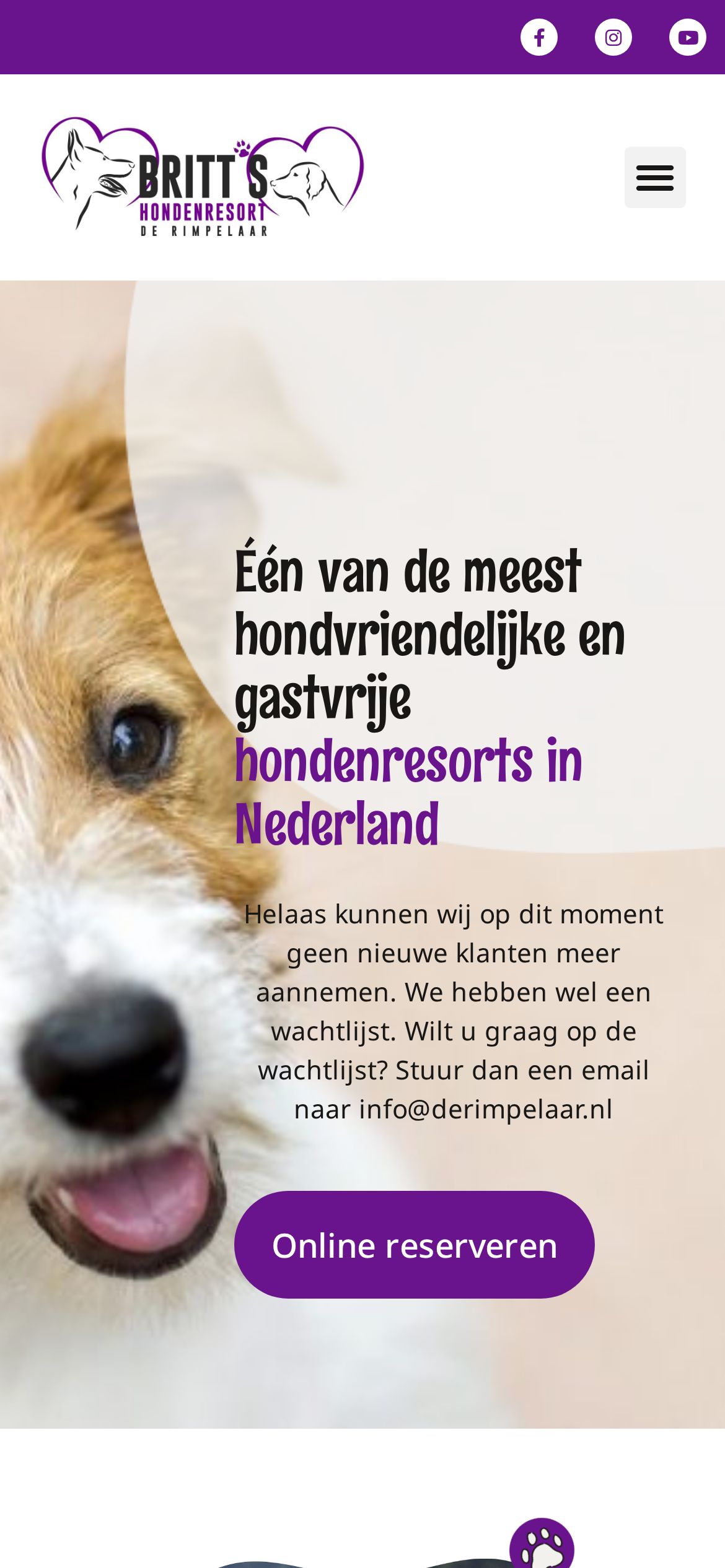 Website Britt's Hondenresort de Rimpelaar — mobiel